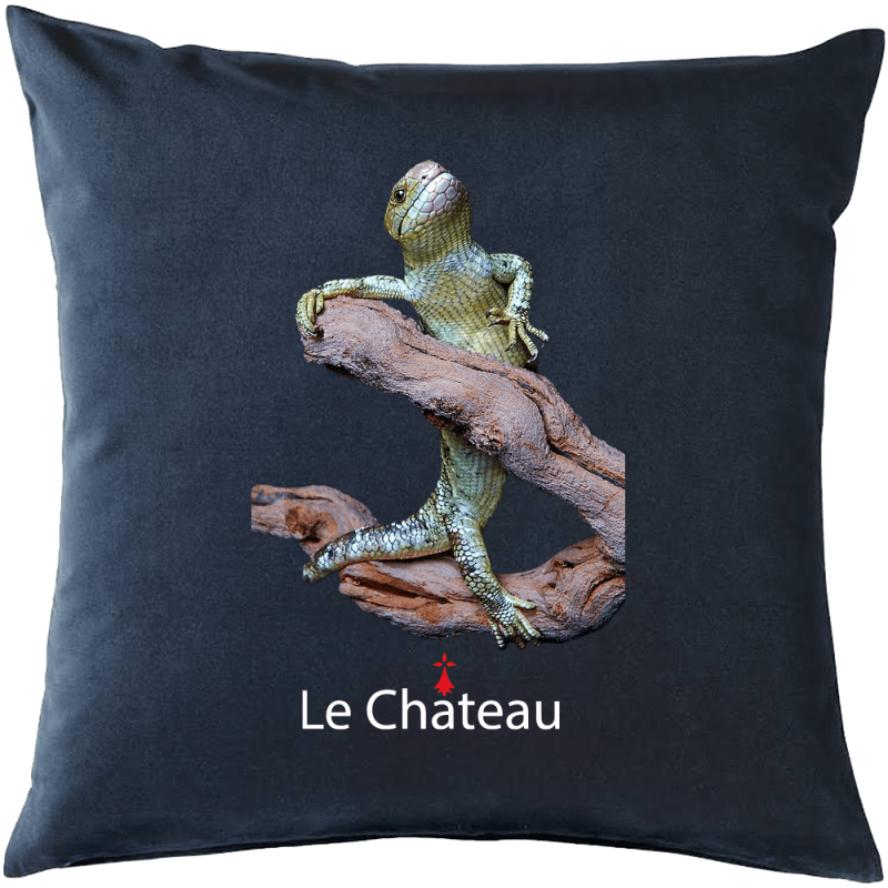 copy-of-le-chateau-cushion.jpg